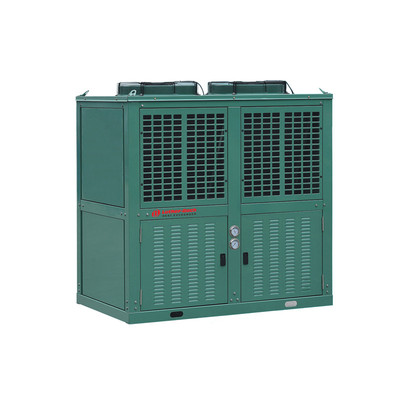 Bitzer Compressor Condensing Units with V Type Condenser